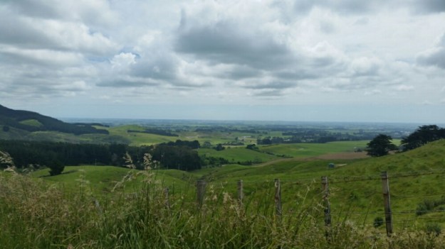 IMG_20151231_112230.jpg image