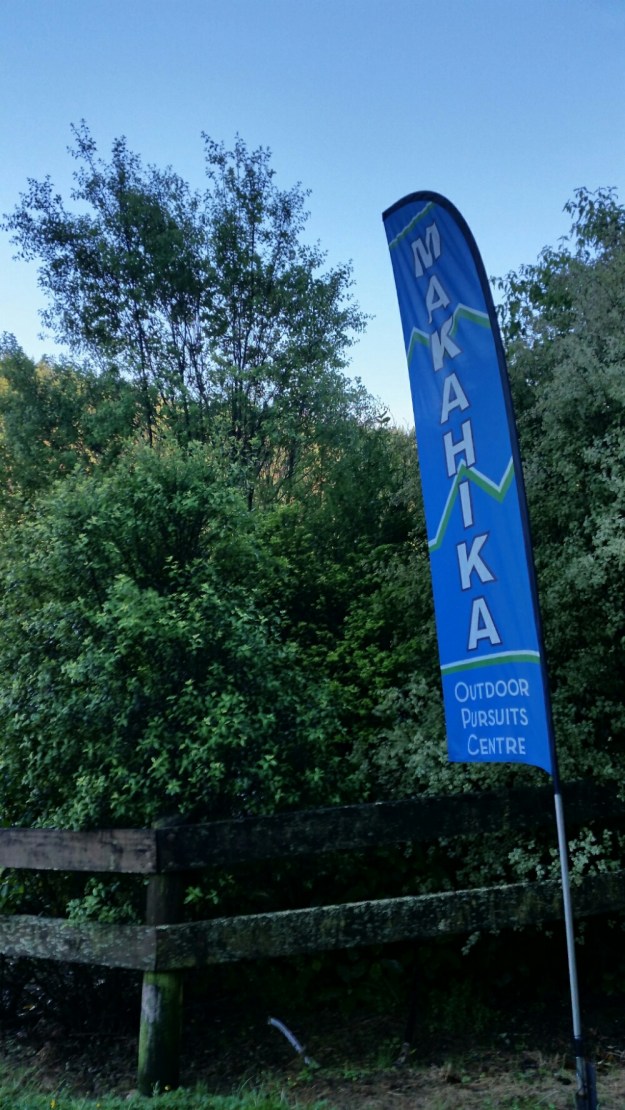 IMG_20151231_114558.jpg image