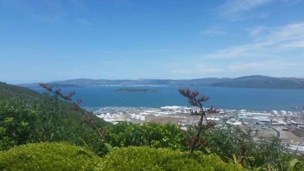 IMG_20160102_071755.jpg image