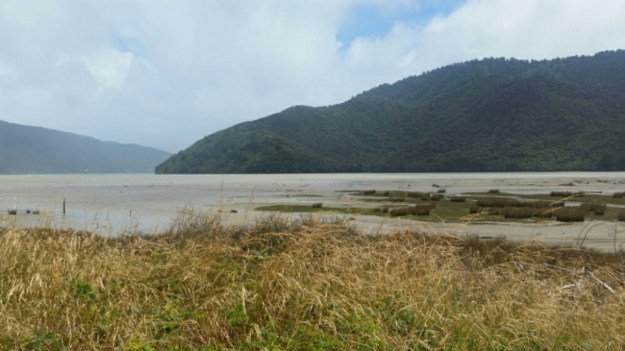 IMG_20160109_071927.jpg image