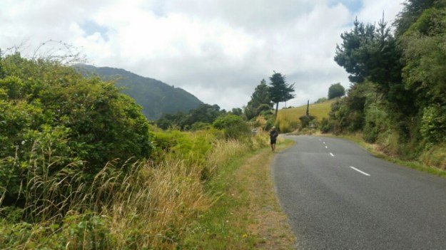 IMG_20160109_072012.jpg image