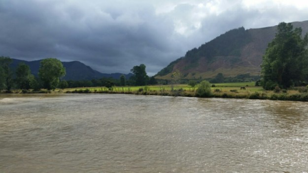 IMG_20160109_072038.jpg image