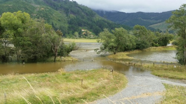 IMG_20160109_072108.jpg image