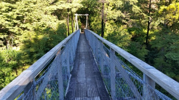 IMG_20160109_072249.jpg image