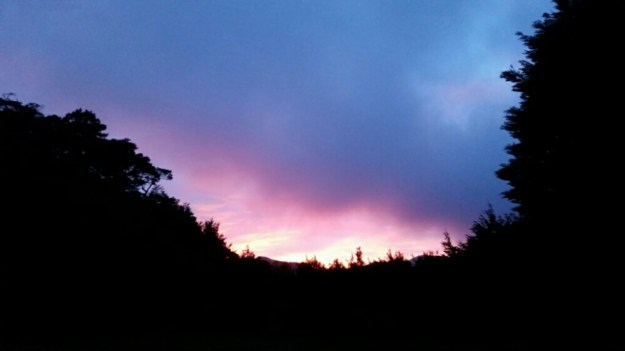 IMG_20160114_172627.jpg image