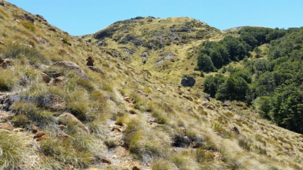 IMG_20160114_173237.jpg image