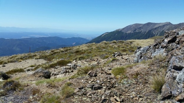 IMG_20160114_173729.jpg image