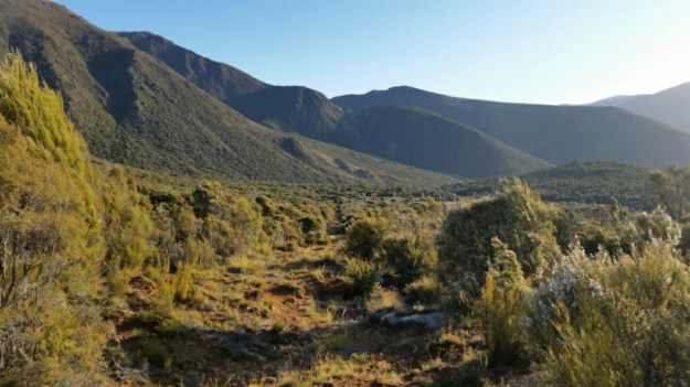 IMG_20160114_174101.jpg image