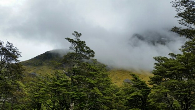 IMG_20160121_183221.jpg image