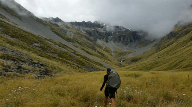 IMG_20160121_220616.jpg image