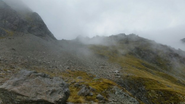 IMG_20160121_220650.jpg image