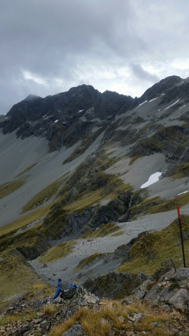 IMG_20160121_221601.jpg image