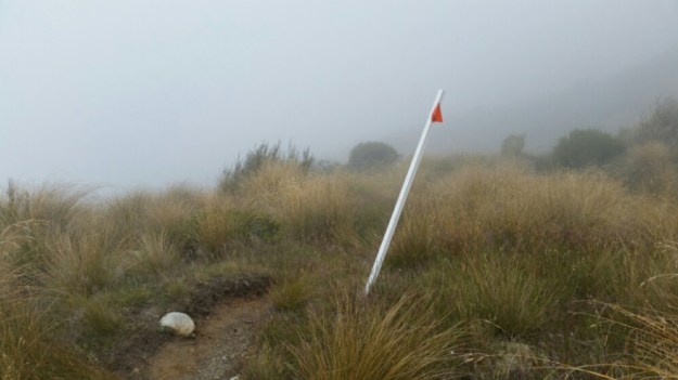 IMG_20160131_214540.jpg image