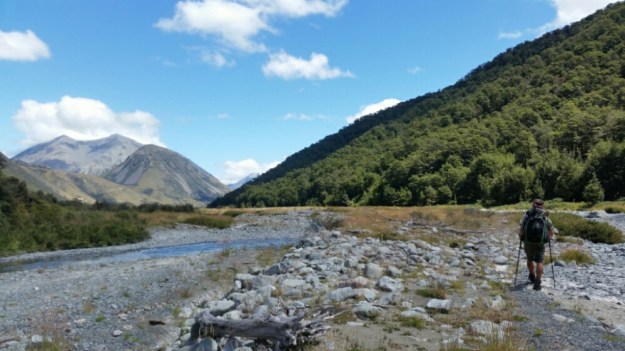 IMG_20160131_214800.jpg image