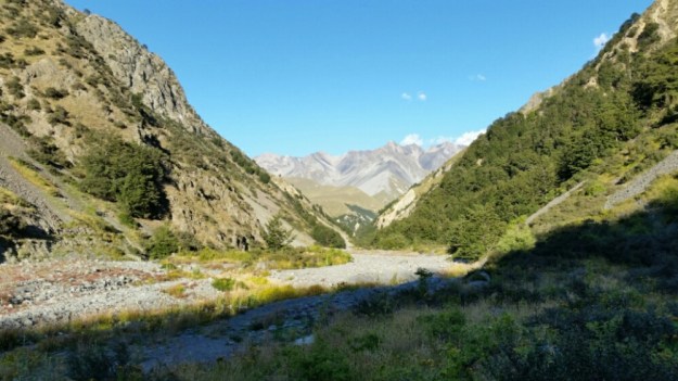 IMG_20160207_094307.jpg image