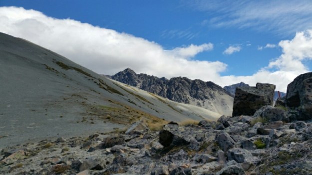 IMG_20160207_094817.jpg image