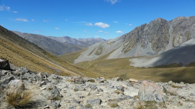 IMG_20160207_095046.jpg image