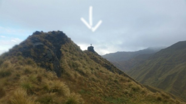 IMG_20160218_150631.jpg image