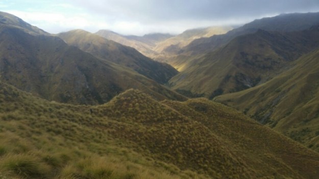 IMG_20160218_150709.jpg image