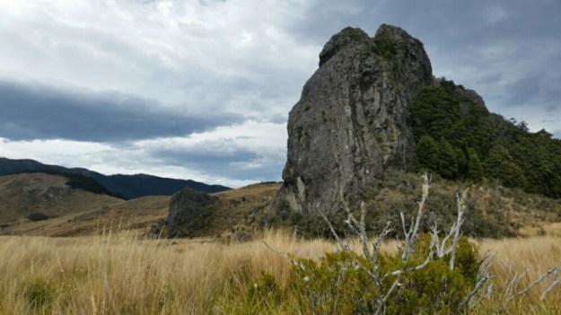 IMG_20160228_112552.jpg image