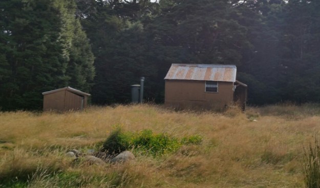 IMG_20160228_113529.jpg image