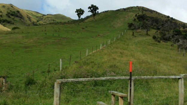 IMG_20160303_090004.jpg image