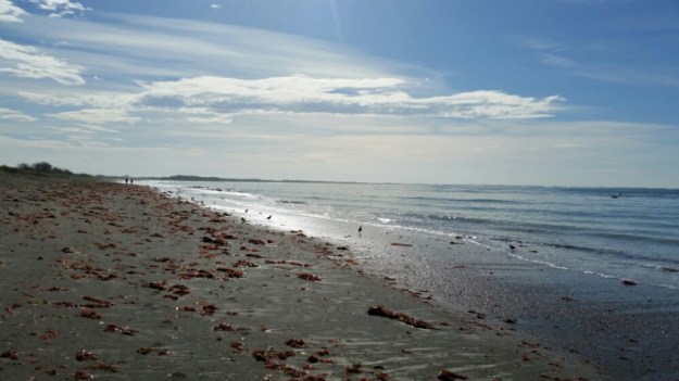 IMG_20160303_221252.jpg image