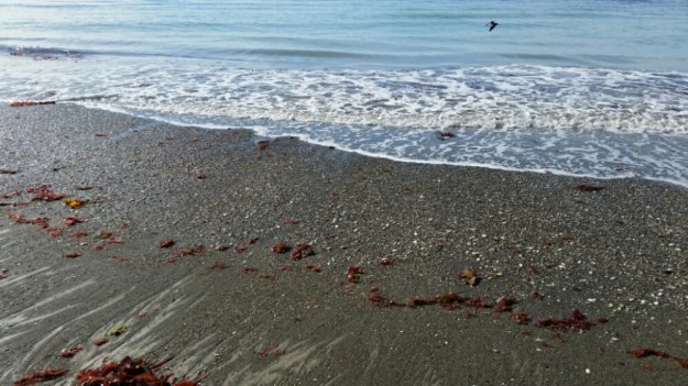 IMG_20160303_221327.jpg image