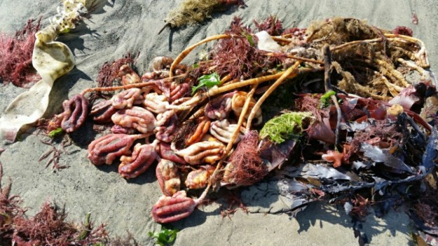 IMG_20160303_221354.jpg image