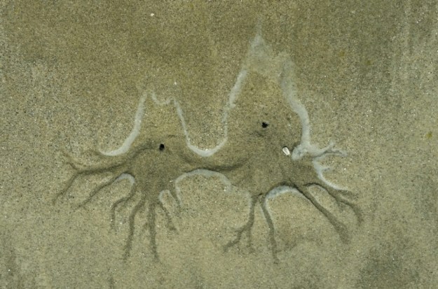 IMG_20160303_221608.jpg image