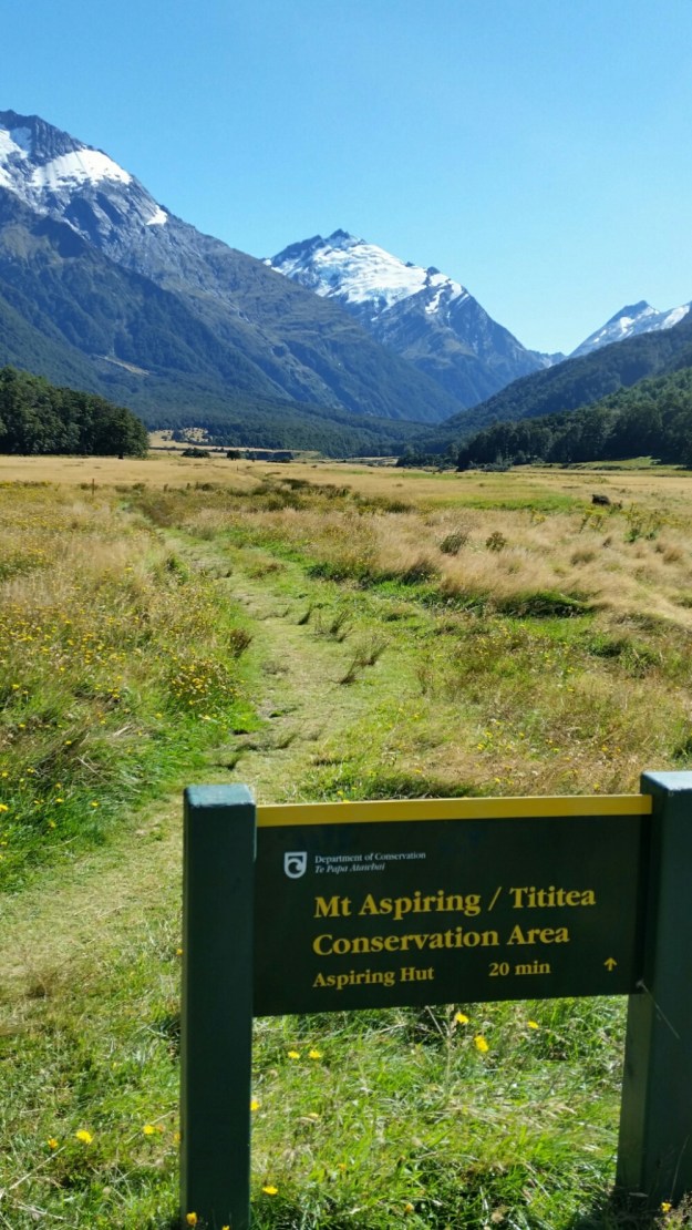 IMG_20160328_133955.jpg image