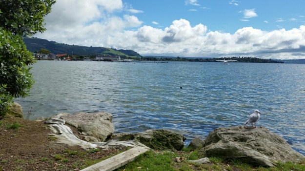 IMG_20160515_163201.jpg image