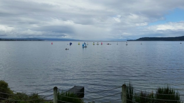 IMG_20160515_163421.jpg image