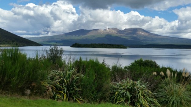 IMG_20160515_163559.jpg image