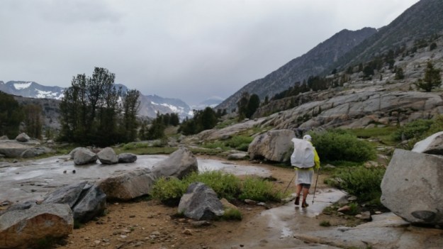 IMG_20160628_211922.jpg image