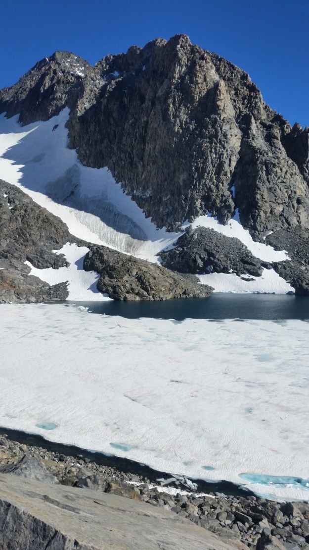 IMG_20160707_210832.jpg image