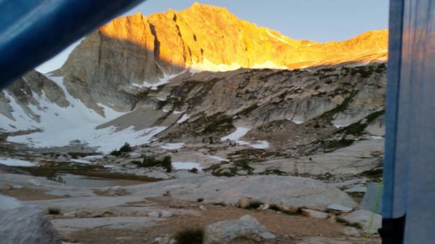 IMG_20160714_145231.jpg image