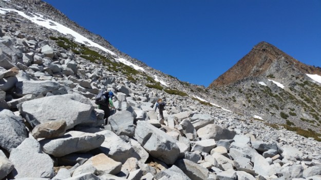 IMG_20160714_145631.jpg image