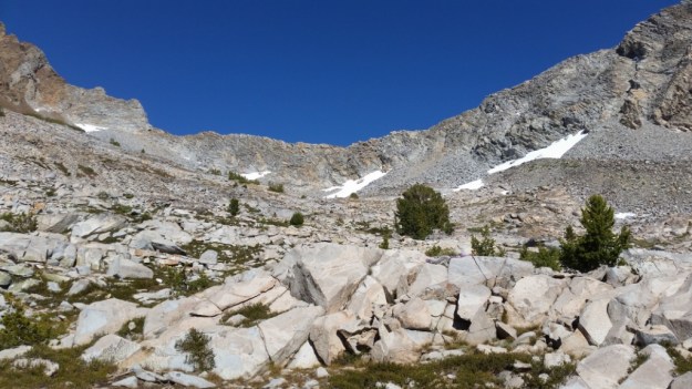 IMG_20160714_145820.jpg image