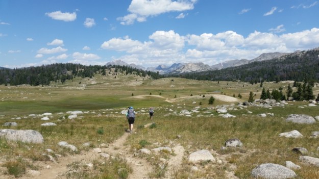 IMG_20160808_125421.jpg image