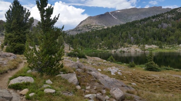 IMG_20160808_125926.jpg image