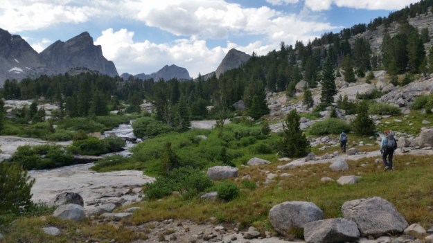 IMG_20160808_130102.jpg image