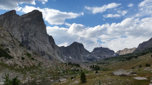 IMG_20160808_130145.jpg image