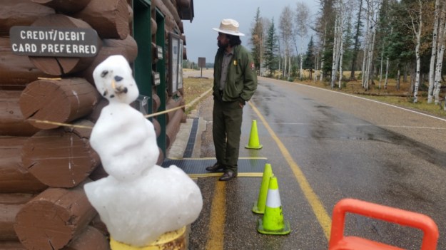 IMG_20161020_151304.jpg image