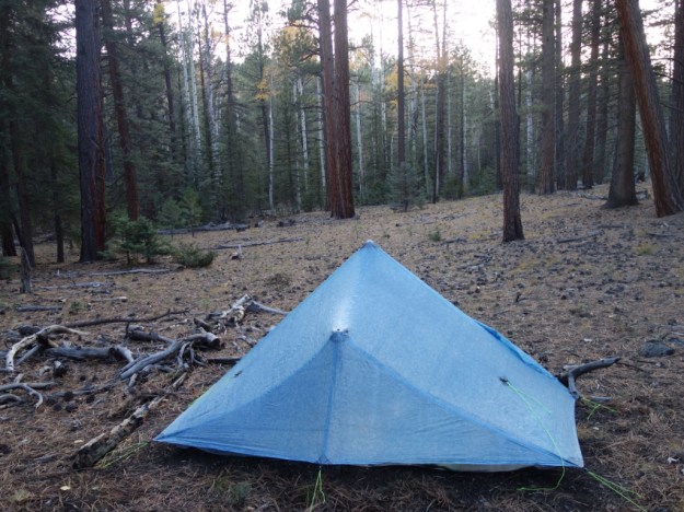 IMG_20161020_155428.jpg image