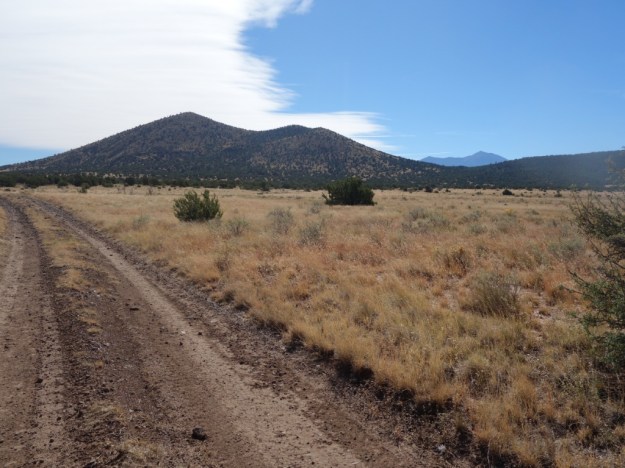 IMG_20161023_135153.jpg image