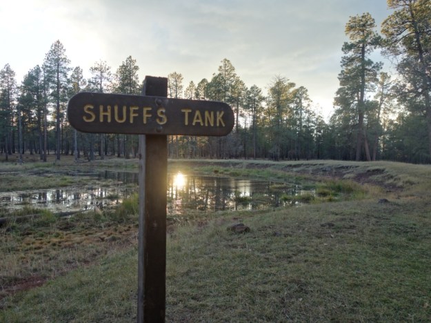 IMG_20161029_133936.jpg image