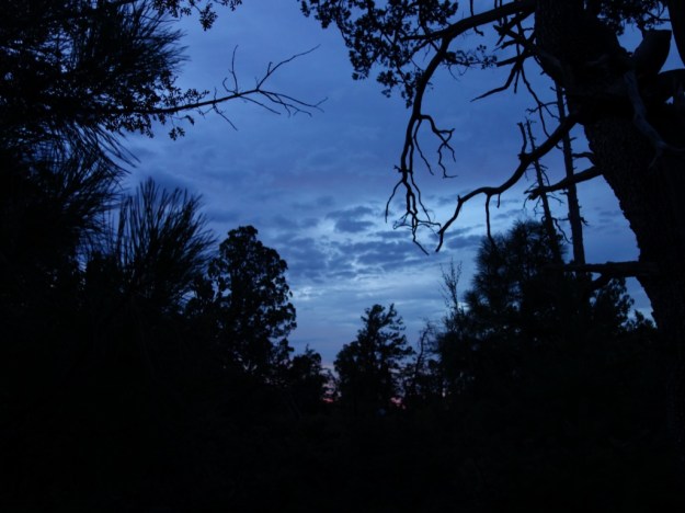 IMG_20161029_161328.jpg image