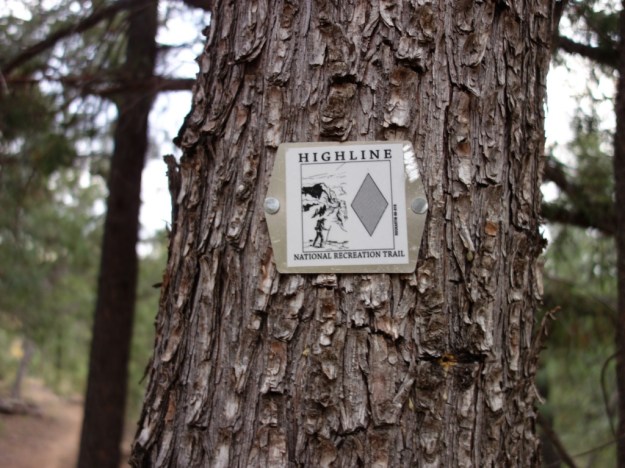 IMG_20161029_161435.jpg image