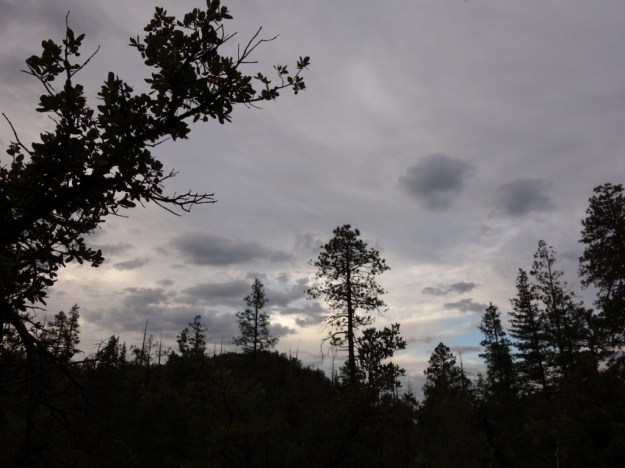 IMG_20161029_161503.jpg image